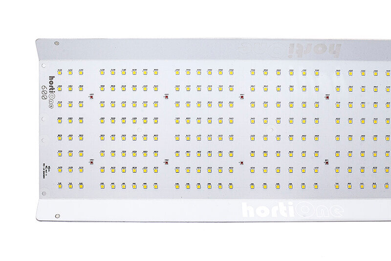hortione-600-v3-led-220w~5.jpg