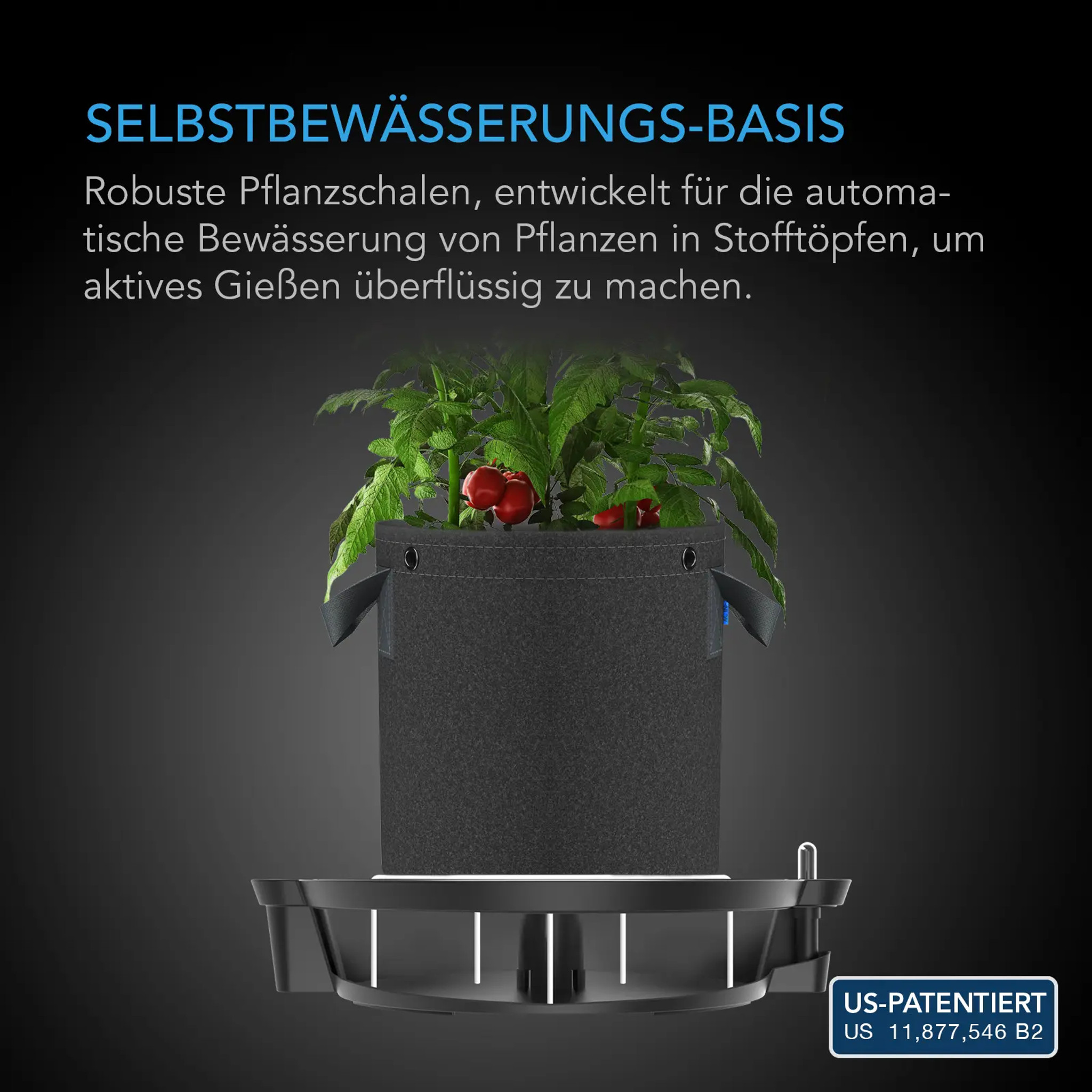 Self_watering_Pot_Base_A5_Self_Watering_Base-2__55191.jpg
